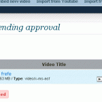 Uploaded file pending approval